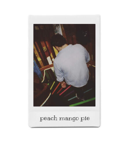 Peach Mango Pie
